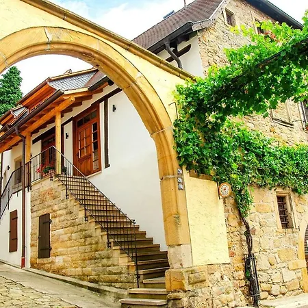 Genussvolle Auszeit Beim Winzer-Apartment Idig Нойштадт-ан-дер-Вайнштрасе Экстерьер фото